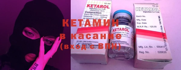 шишки Узловая