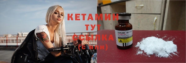 шишки Узловая