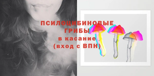 соль ск Слюдянка