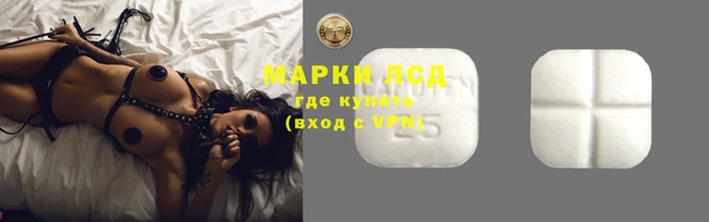 шишки Узловая