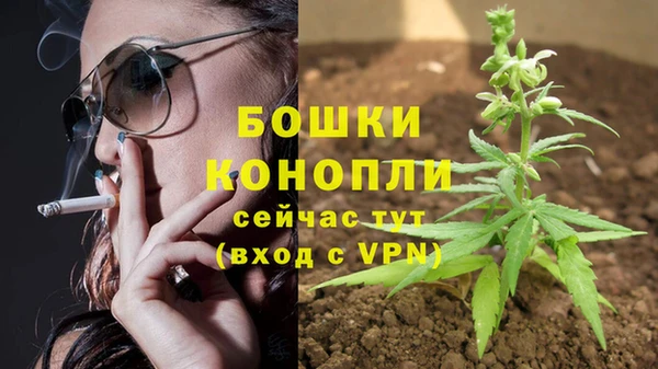 соль ск Снежногорск