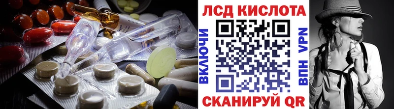 купить наркоту  Шилка  Лсд 25 экстази ecstasy 